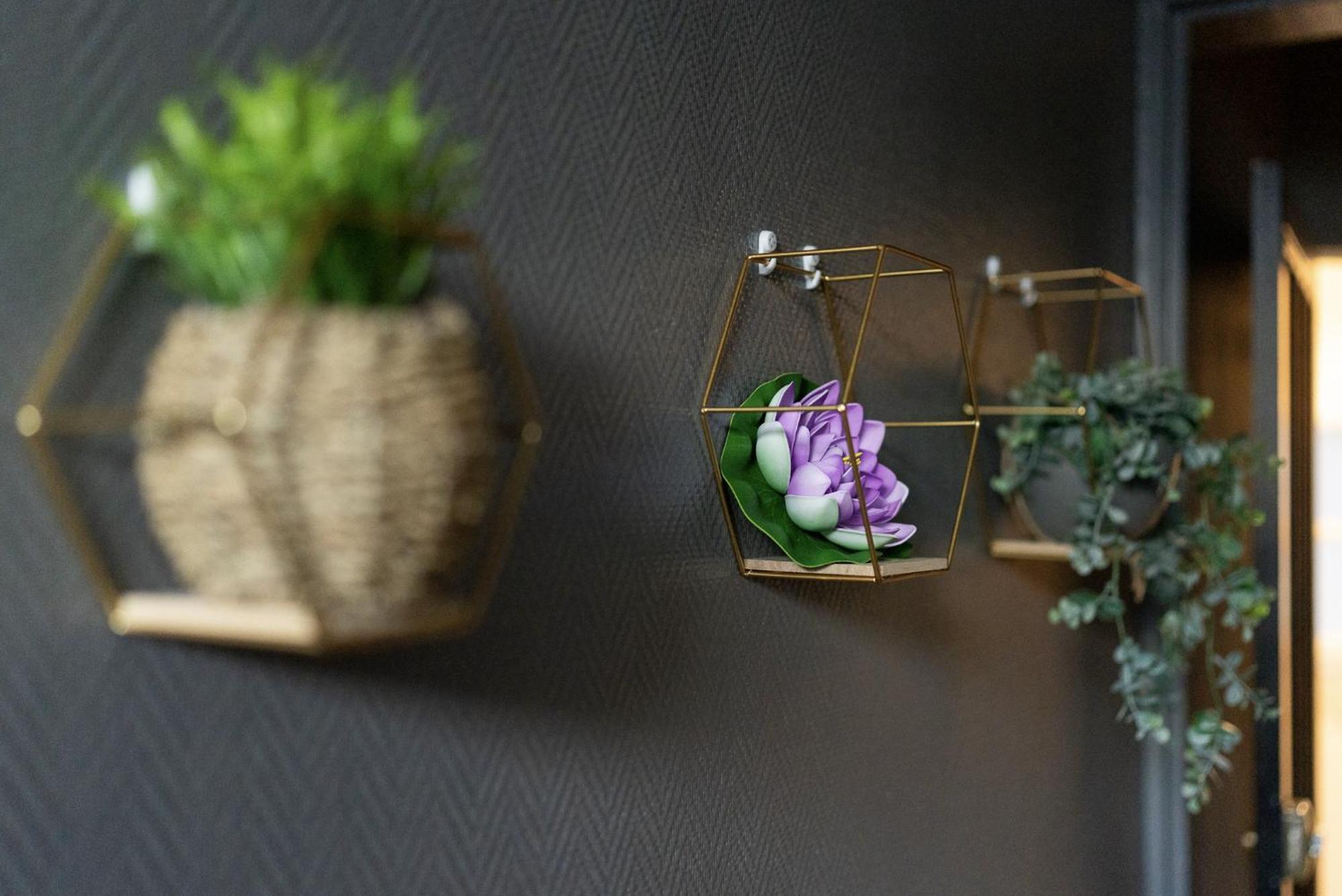 #Nouveau@Nature&Beaut# 干邑 外观 照片